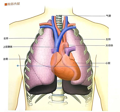 當胸痛來襲，身體在“警報”什么？—— 一位放射科技師的科普